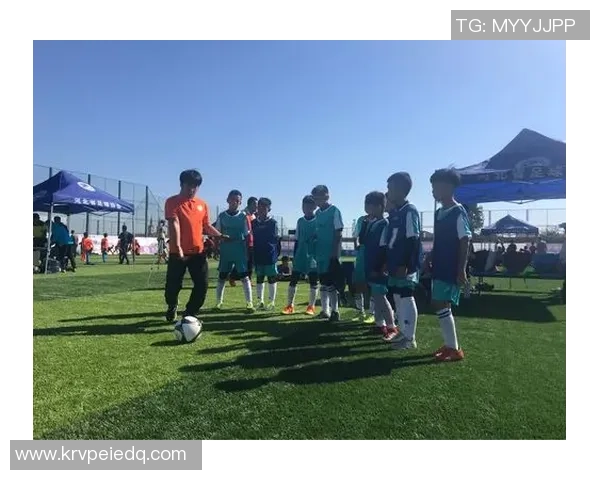 南京足球队的节奏揭秘：激情与梦想交织的绿茵传奇