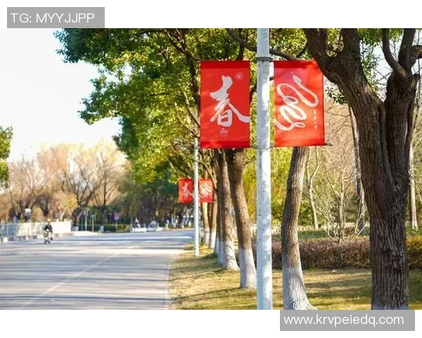 南京乒乓球队的崛起之路:亚运会背后的奋斗与荣耀 南京乒乓球队的崛起之路:亚运会背后的奋斗与荣耀