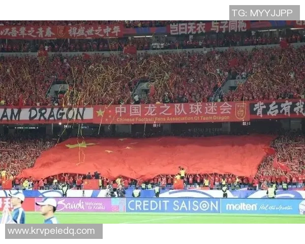 杭州足球队在世界杯预选赛中的灵活性表现分析与点评