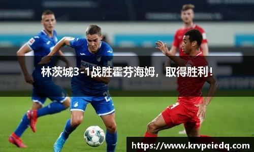 林茨城3-1战胜霍芬海姆，取得胜利！