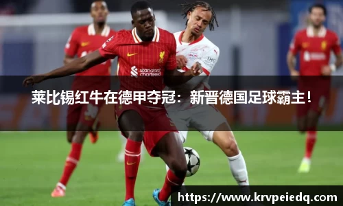 星空·综合体育官方网站