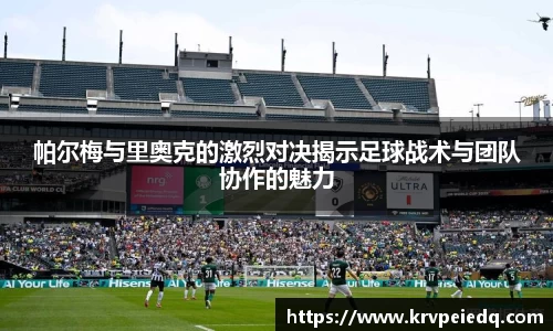 星空·综合体育官方网站