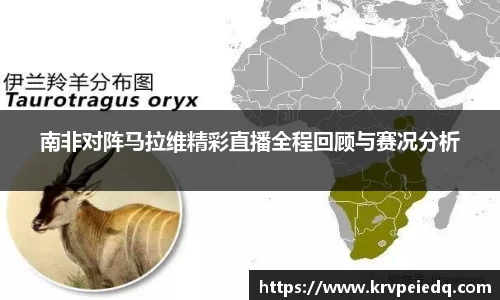 南非对阵马拉维精彩直播全程回顾与赛况分析
